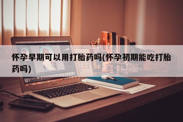 流产药购买微信怀孕早期可以用打胎药吗(怀孕初期能吃打胎药吗)