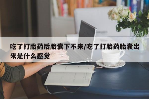 流产药购买微信吃了打胎药后胎囊下不来/吃了打胎药胎囊出来是什么感觉